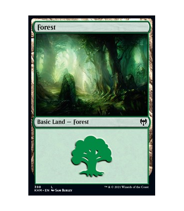 Bosque (V.12) - Forest (V.12)