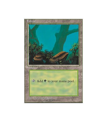 Bosque (V.12) - Forest (V.12)V3