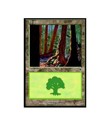 Bosque (V.12) - Forest (V.12)V2