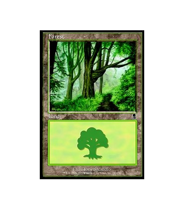 Bosque (V.12) - Forest (V.12)V4