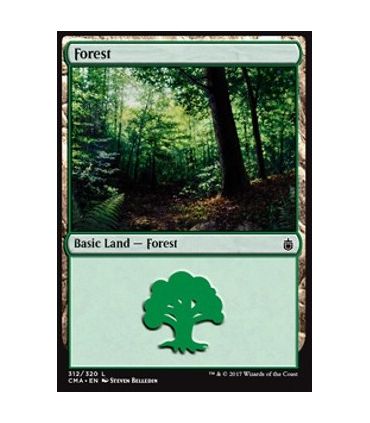 Bosque (V.12) - Forest (V.12)V4