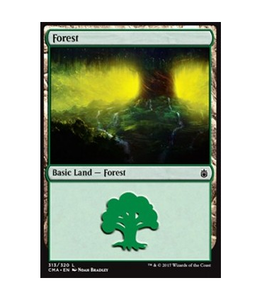 Bosque (V.12) - Forest (V.12)V5
