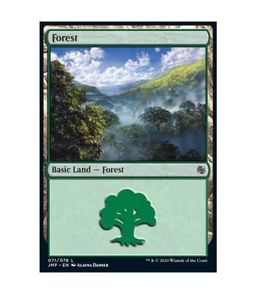 Bosque (V.12) - Forest (V.12)V2