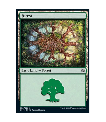 Bosque (V.12) - Forest (V.12)V3