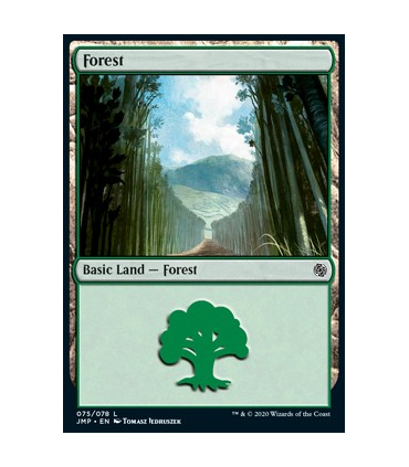 Bosque (V.12) - Forest (V.12)V6