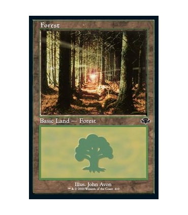 Bosque (V.12) - Forest (V.12)V1