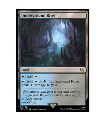 Río subterráneo - Underground River