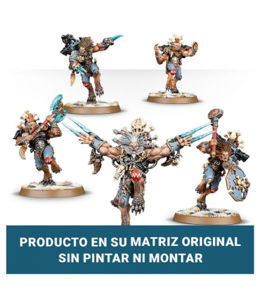 Space Wolves: Wulfen (5 miniaturas) - segunda mano