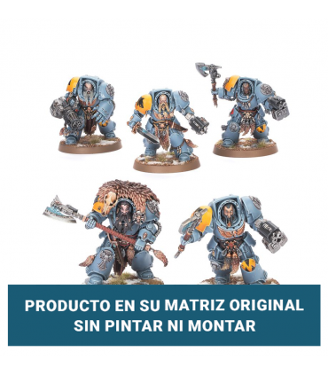 Space Wolves: Wolf Guard Terminators (5 miniaturas) - segunda mano