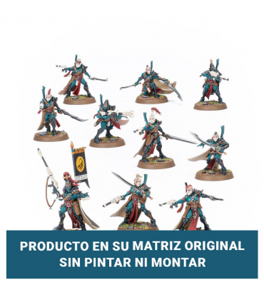 Segunda Mano - Aeldari: Coirsair Voidreapers (10 Miniaturas) de Warhammer 40K